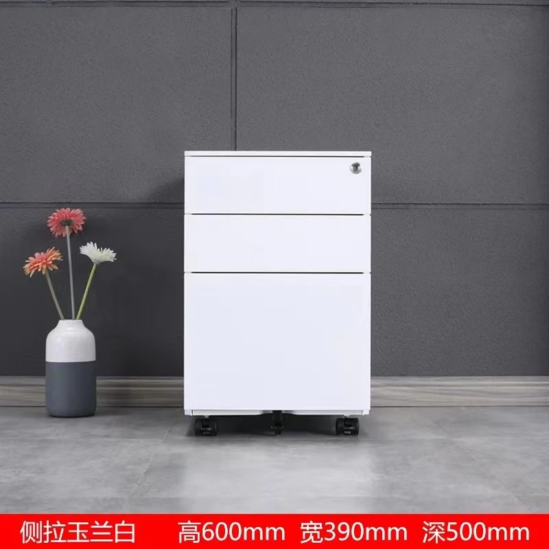 活动柜 (2)