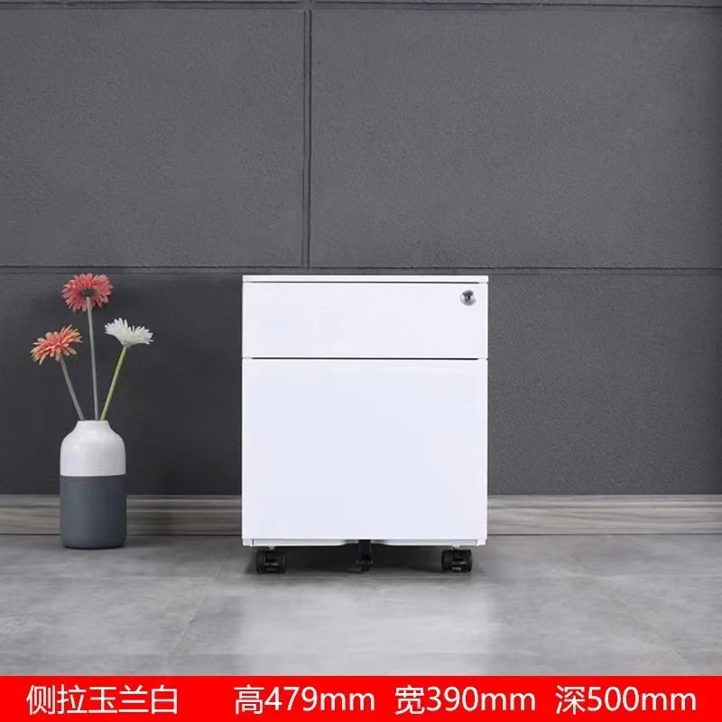 活动柜 (1)